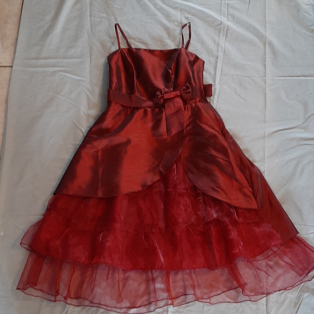 Gorgeous young lady's party or costume dress